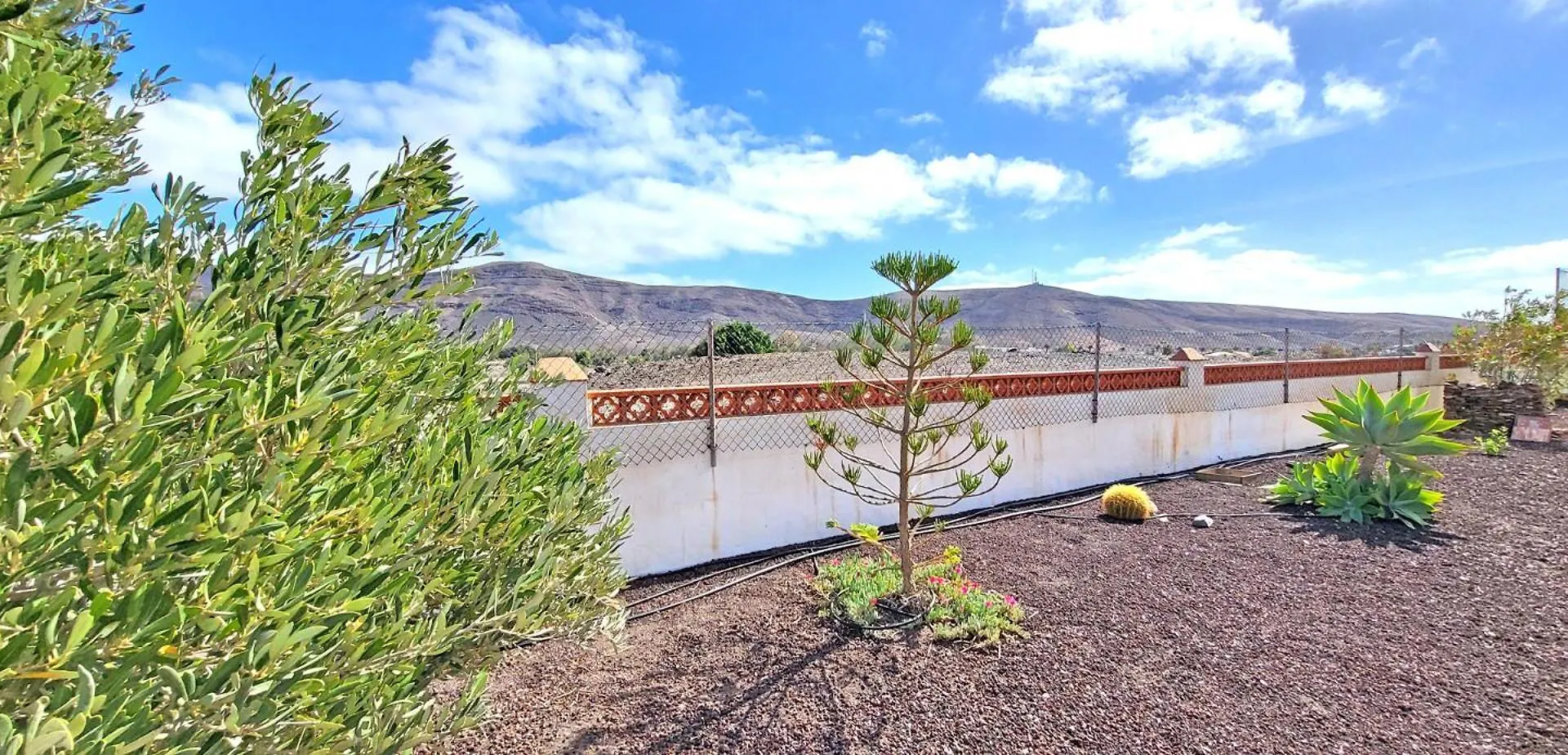 Ferienhaus Casa Regia, Tarajalejo, Garten, 3 Sz, Klima
